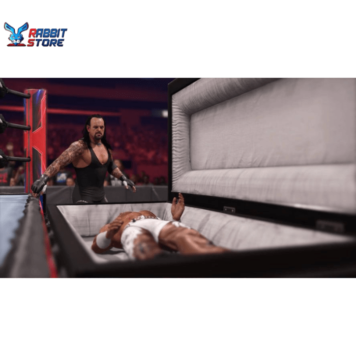 WWE 2K24 PlayStation 5 PS53 |